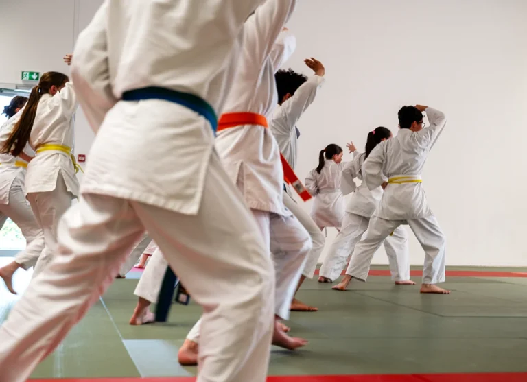 Cours Adolescents - Karaté Club de Lannion - photo François Barret